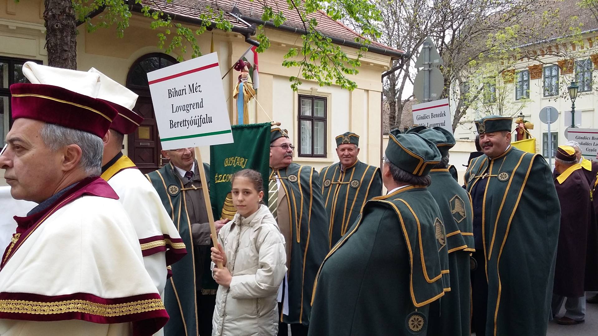 Bihari Mézlovagrend, BSVE - Bihar Sárrét Vidékfejlesztési Egyesület